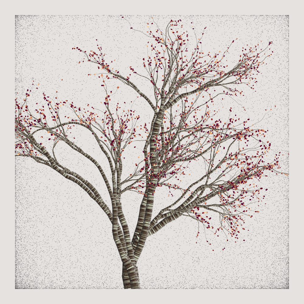 generative art - Bougainvillea