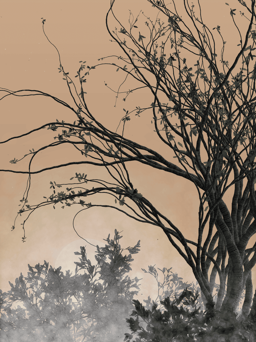 generative art - Morning Mist